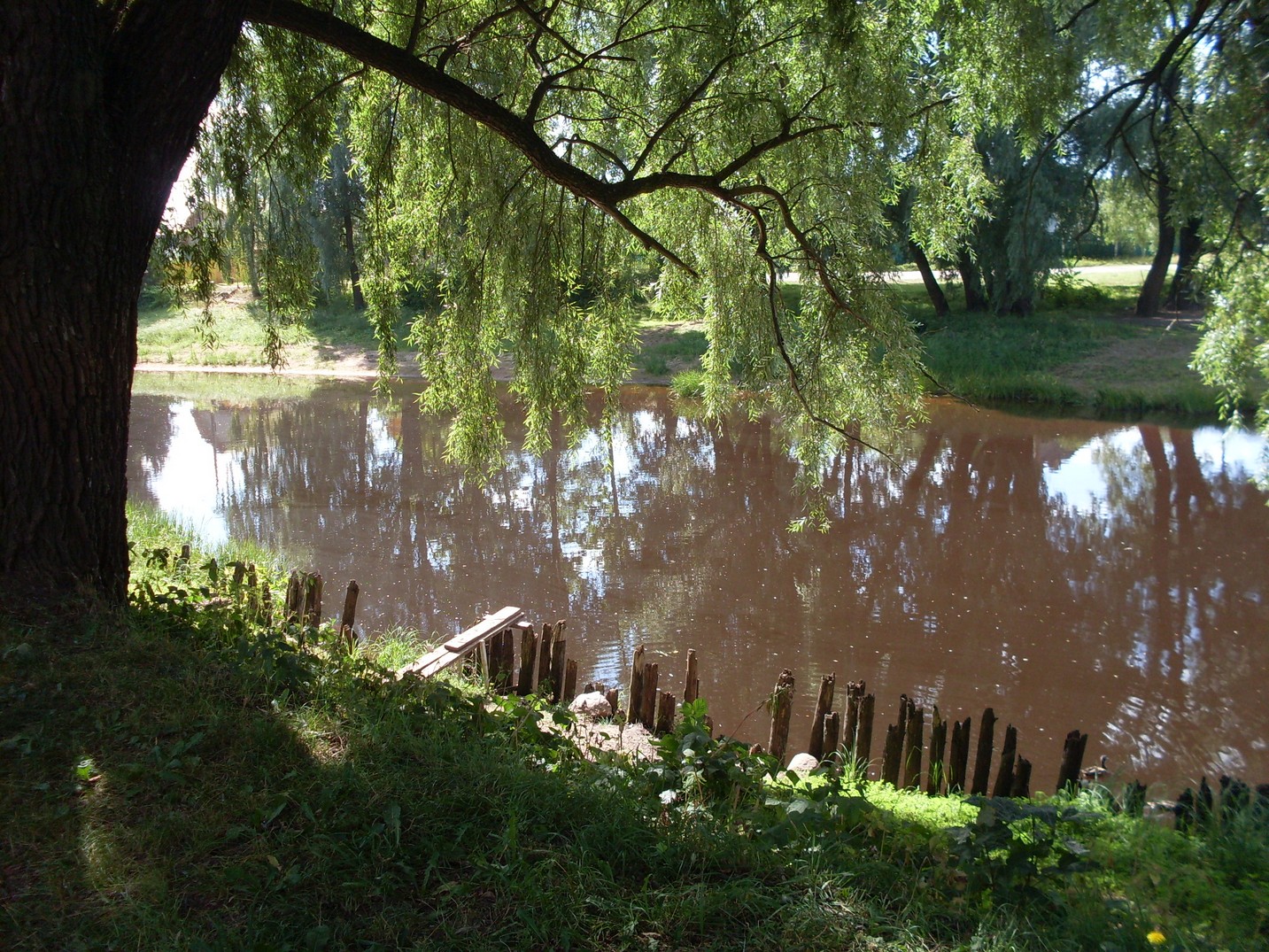 SDC16211.jpg