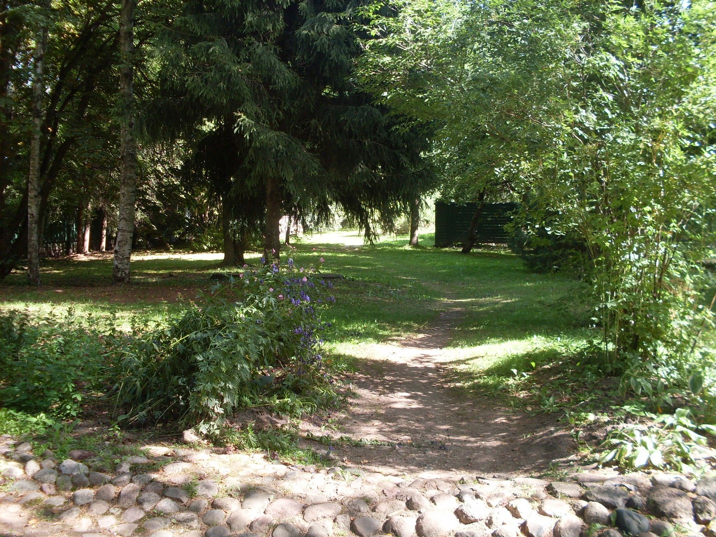 SDC16222.jpg