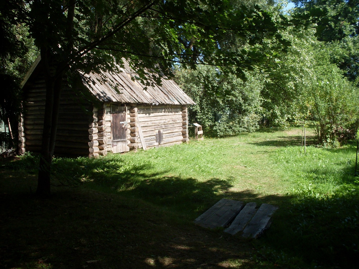 SDC16224.jpg
