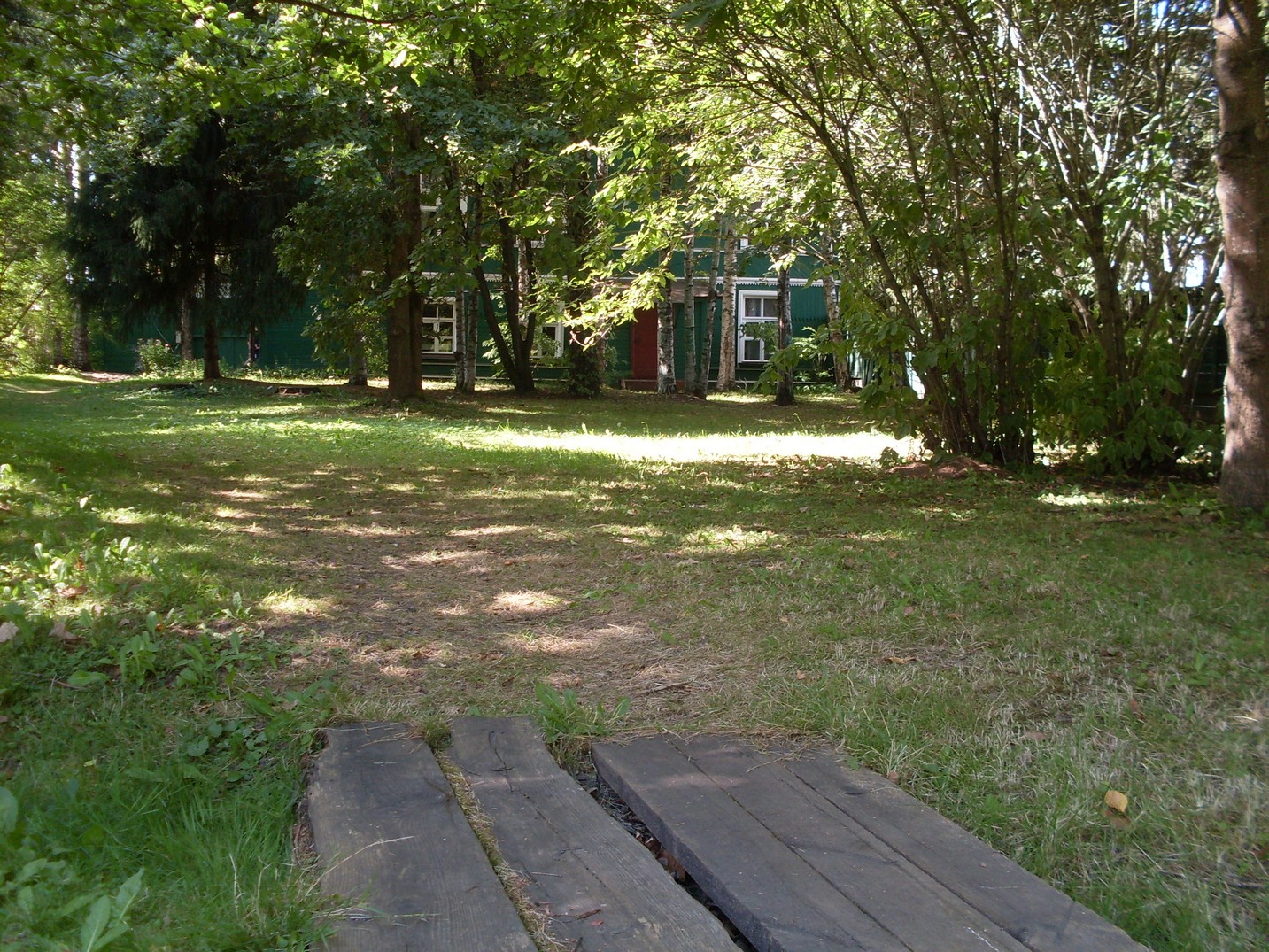SDC16226.jpg