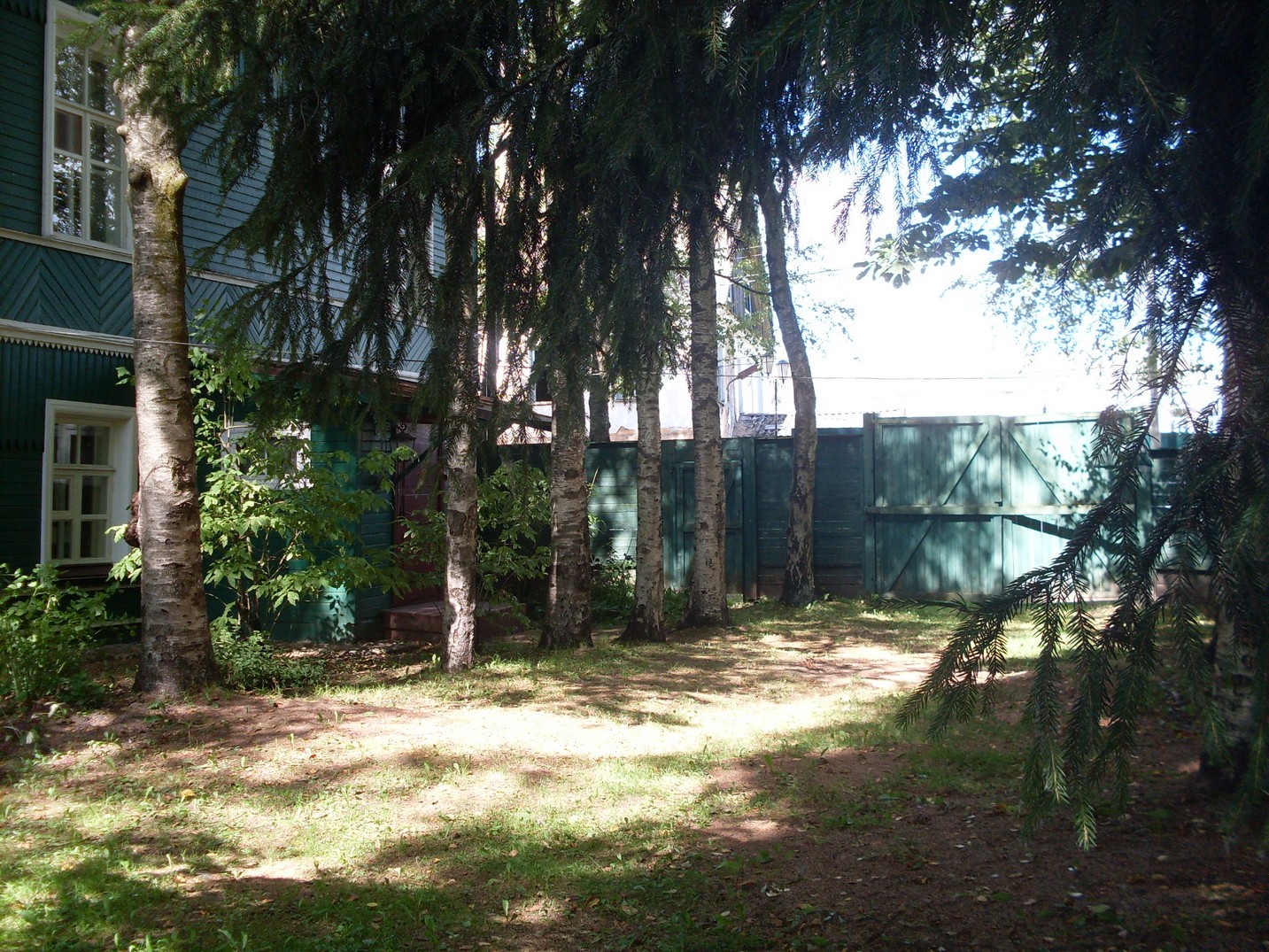 SDC16227.jpg