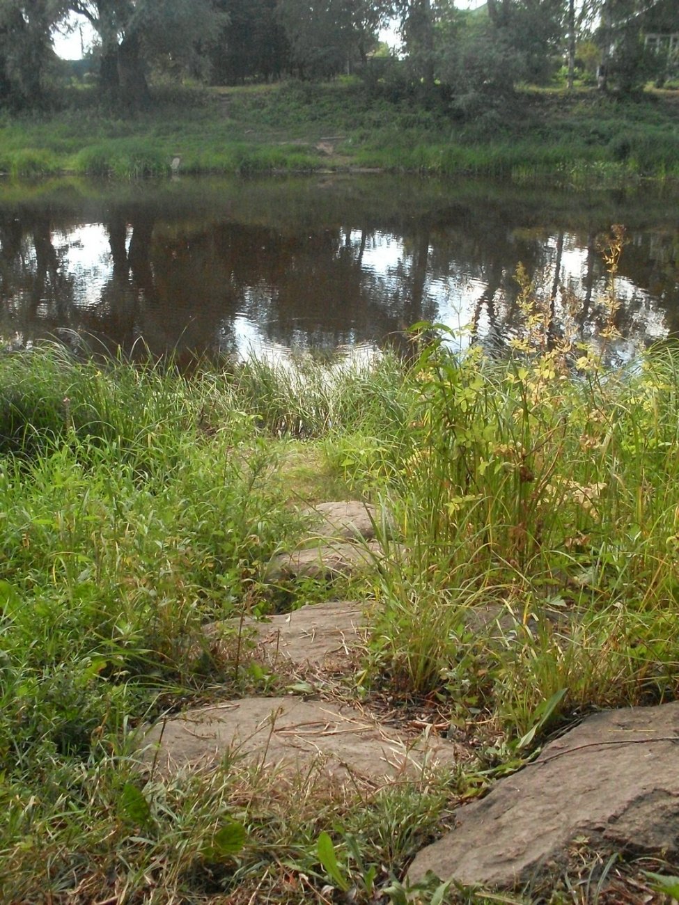 SDC16328.jpg