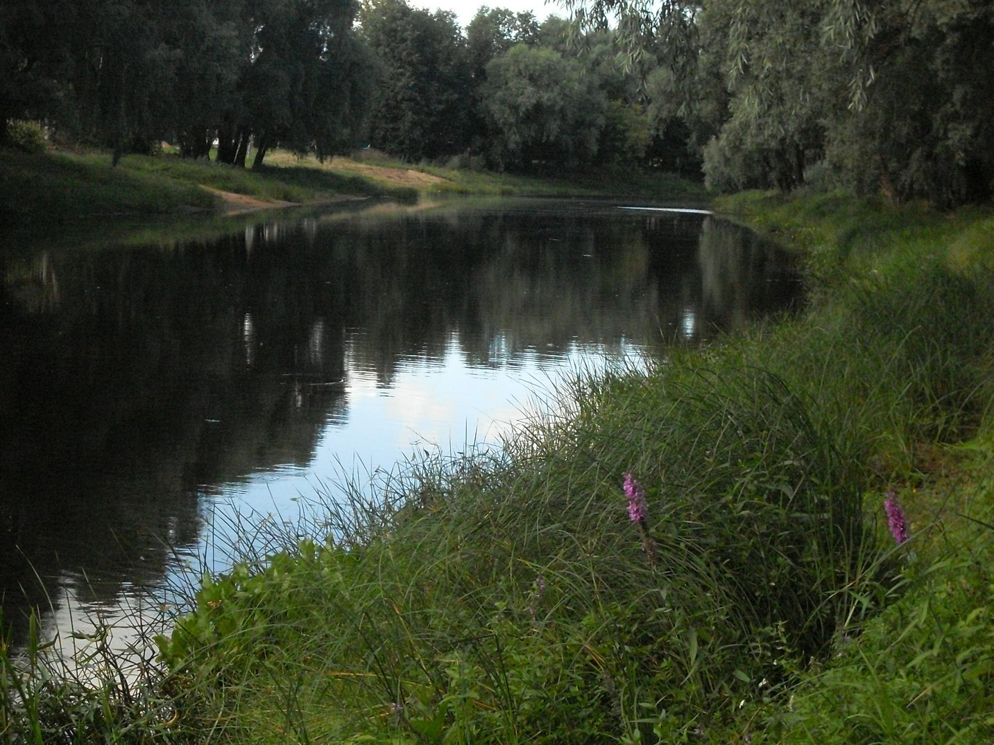 SDC16330.jpg