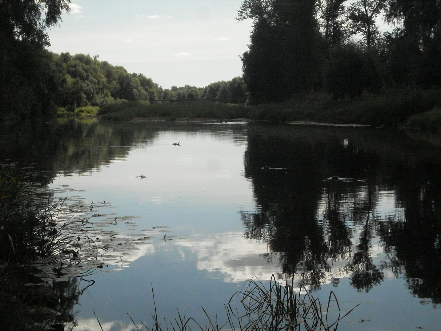 SDC16331.jpg