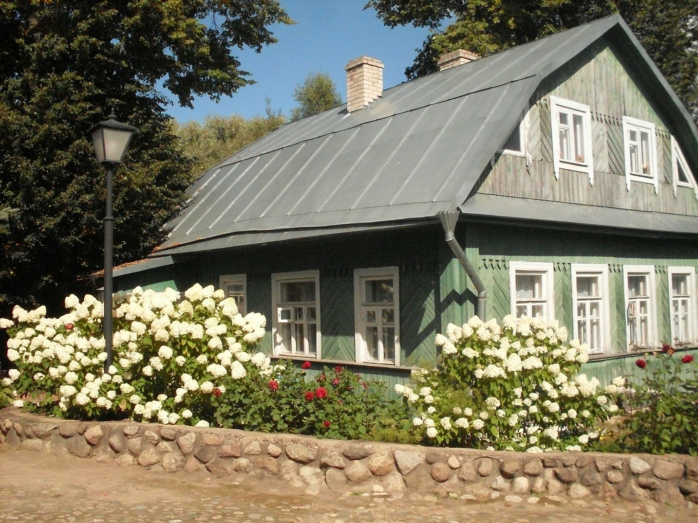SDC16376.jpg