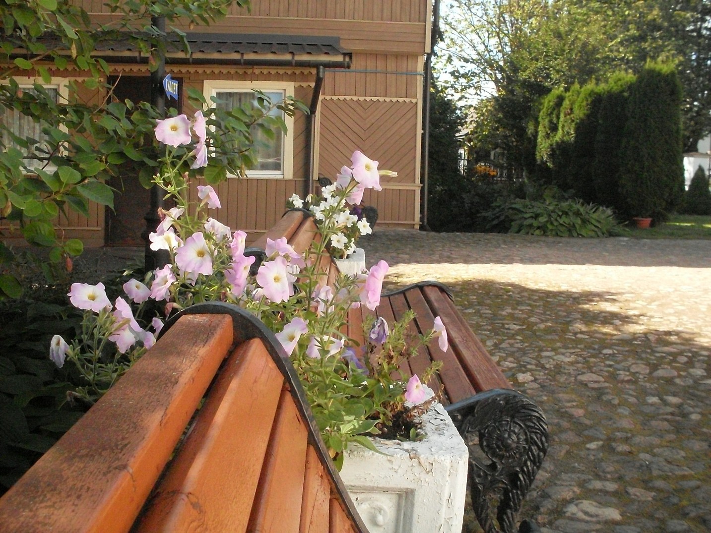 SDC16381.jpg