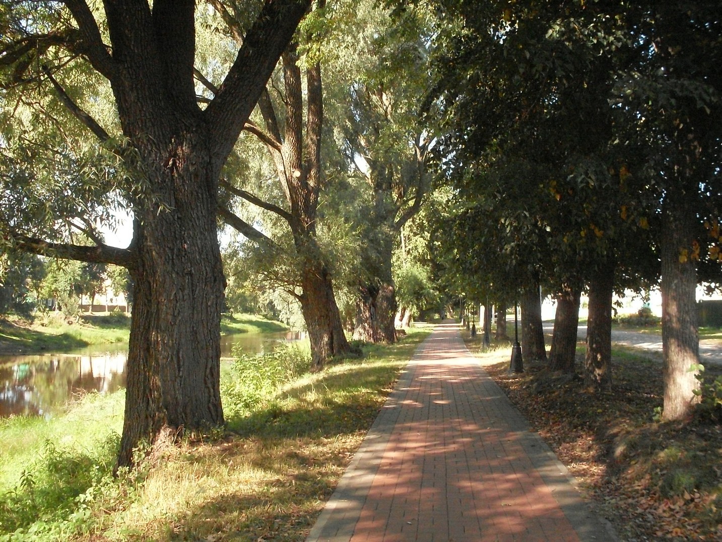 SDC16388.jpg