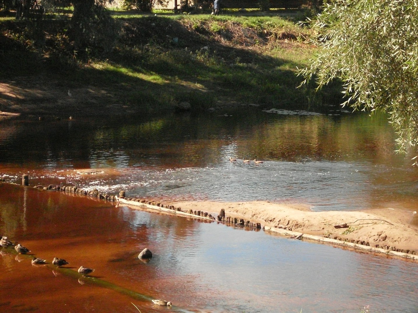 SDC16390.jpg