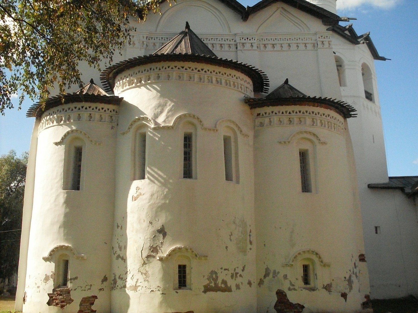 SDC16400.jpg