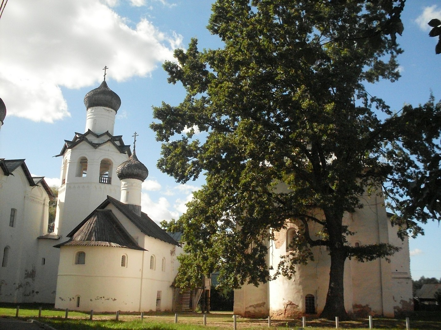 SDC16407.jpg