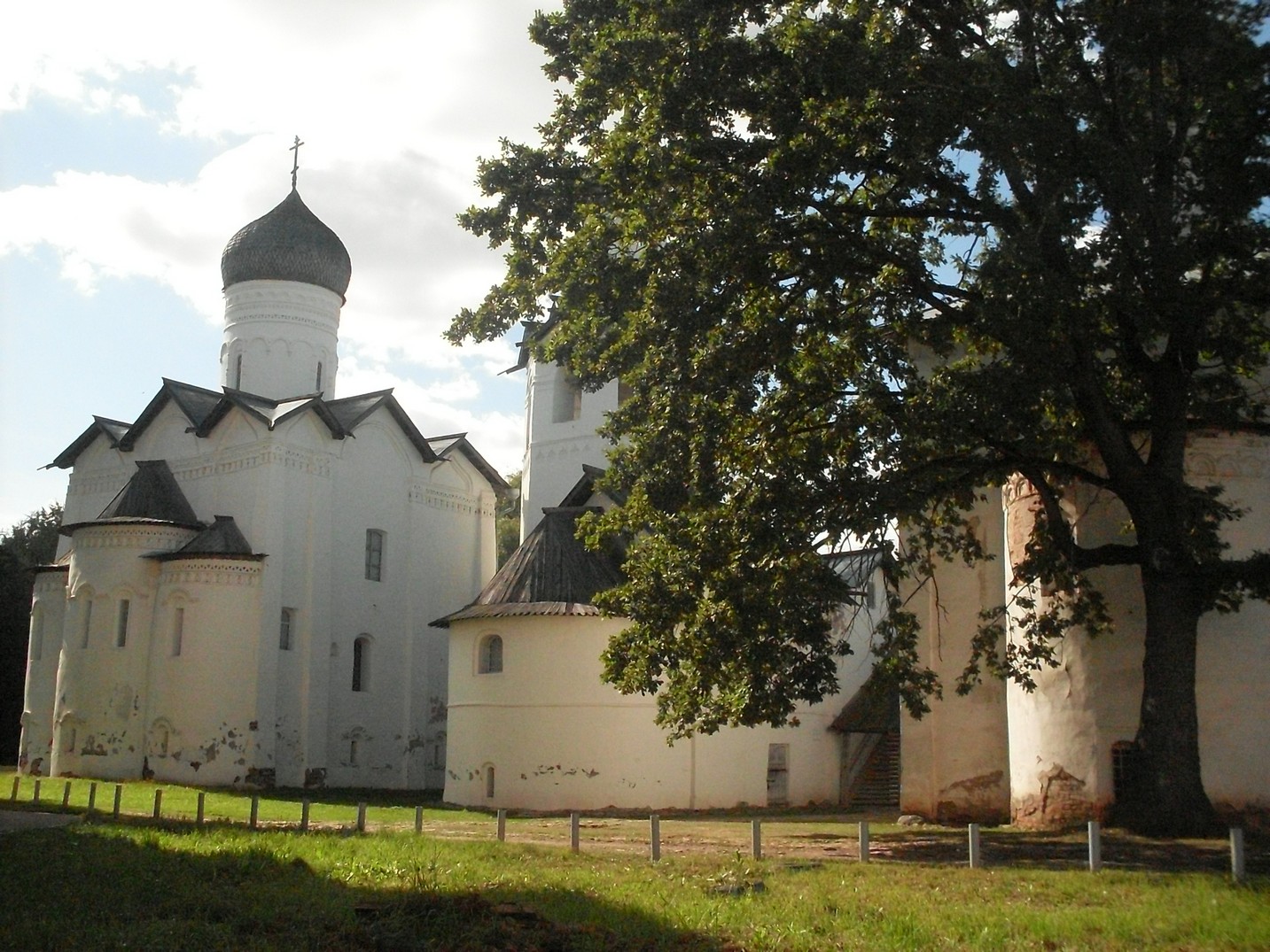 SDC16409.jpg