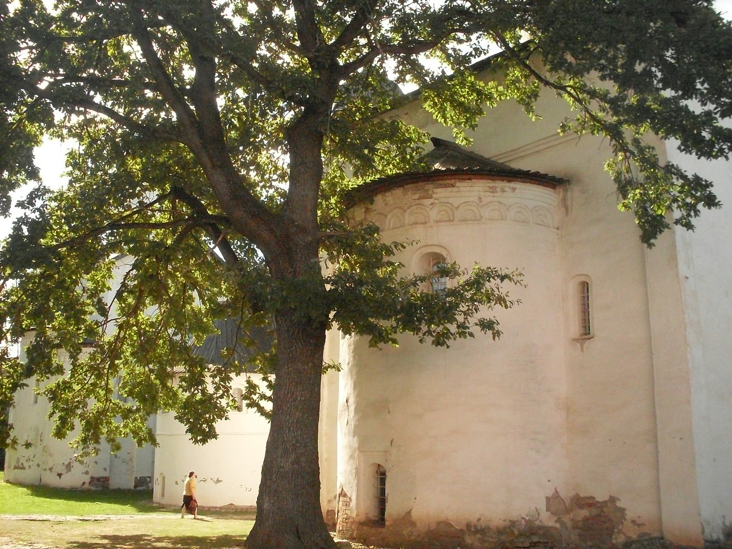 SDC16412.jpg