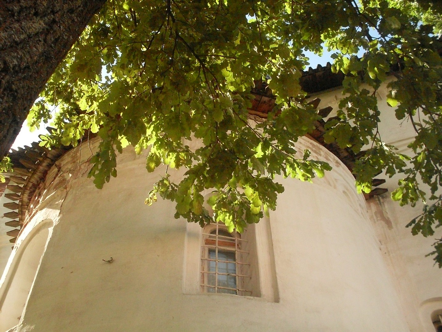 SDC16415.jpg