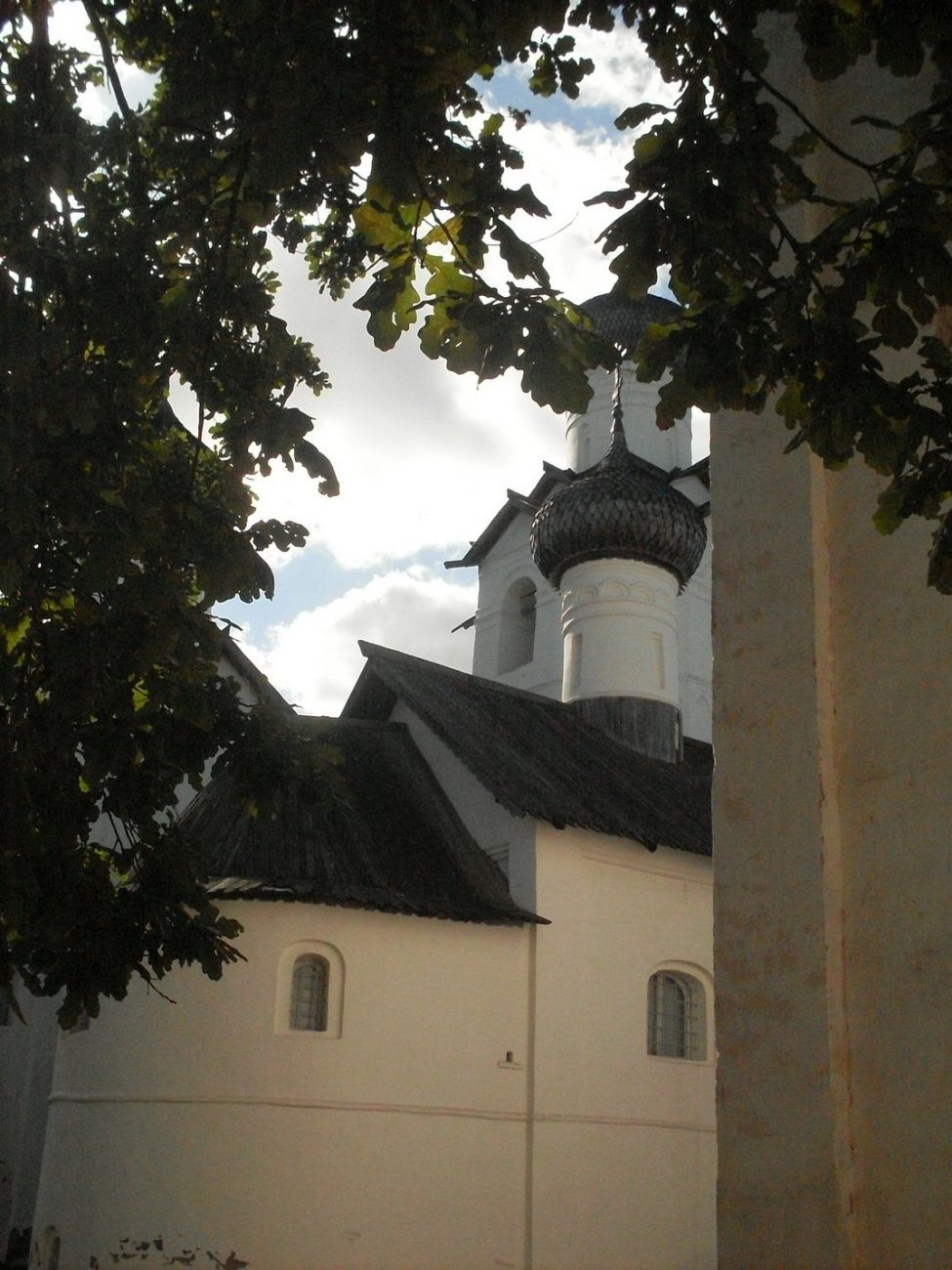 SDC16416.jpg