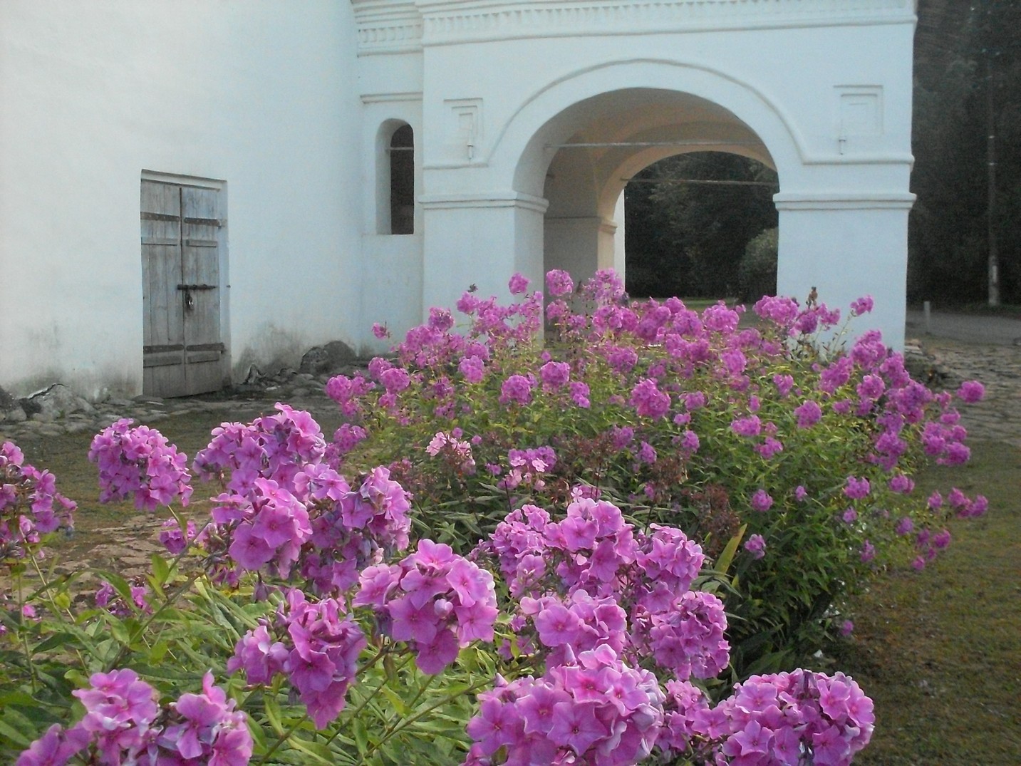 SDC16424.jpg