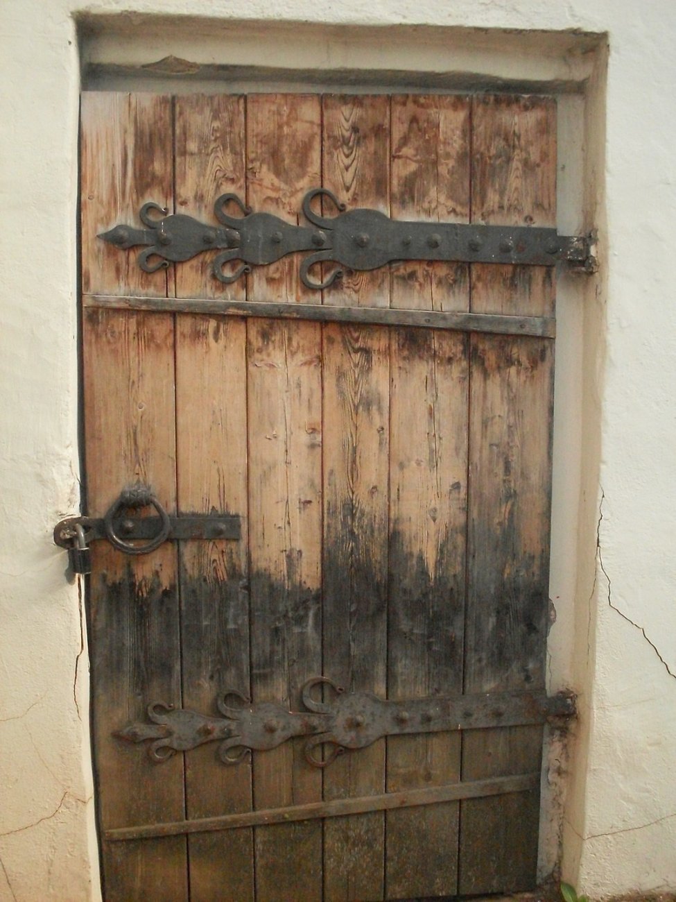 SDC16434.jpg