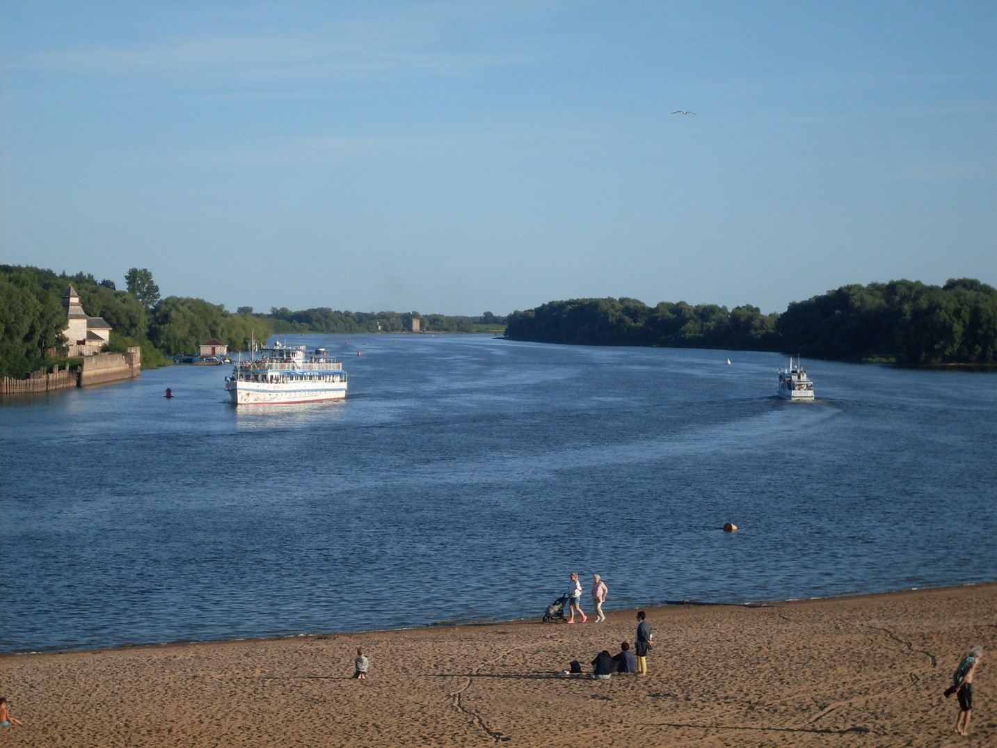 SDC16447.jpg