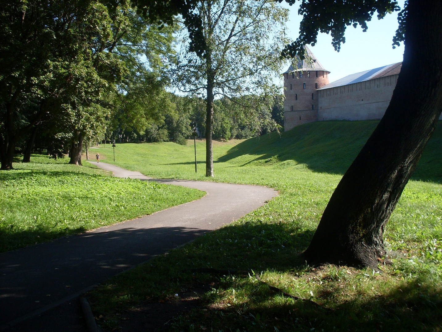 SDC16495.jpg