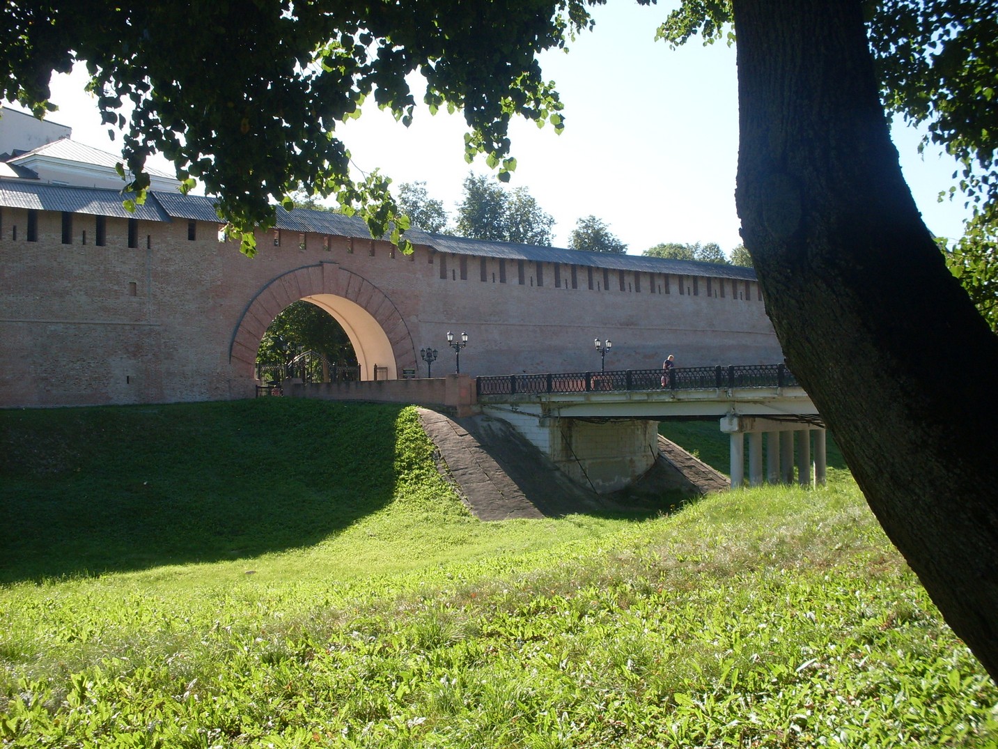 SDC16496.jpg