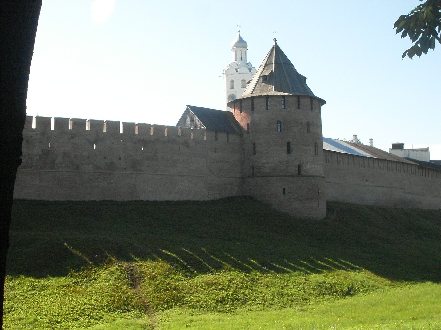 SDC16502.jpg