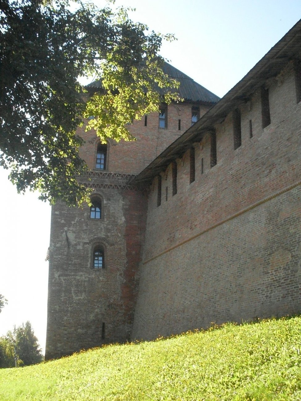 SDC16503.jpg