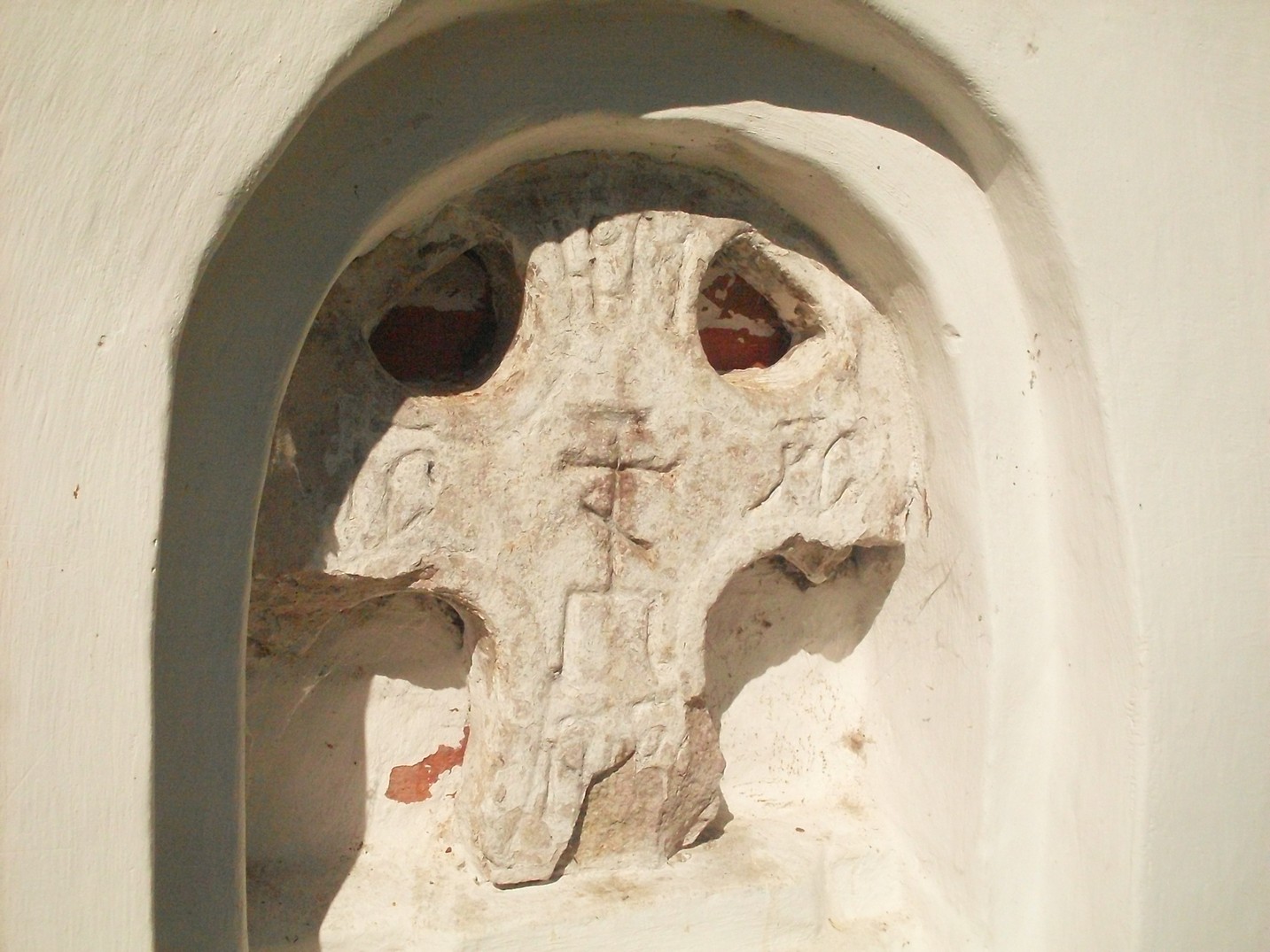 SDC16518.jpg