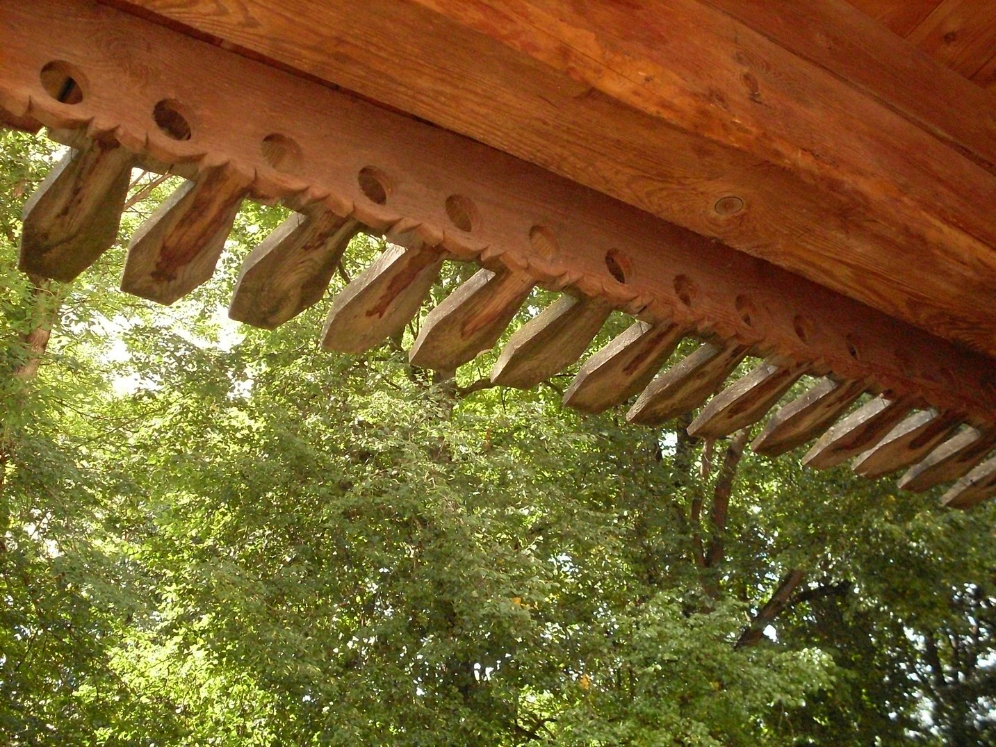 SDC16569.jpg