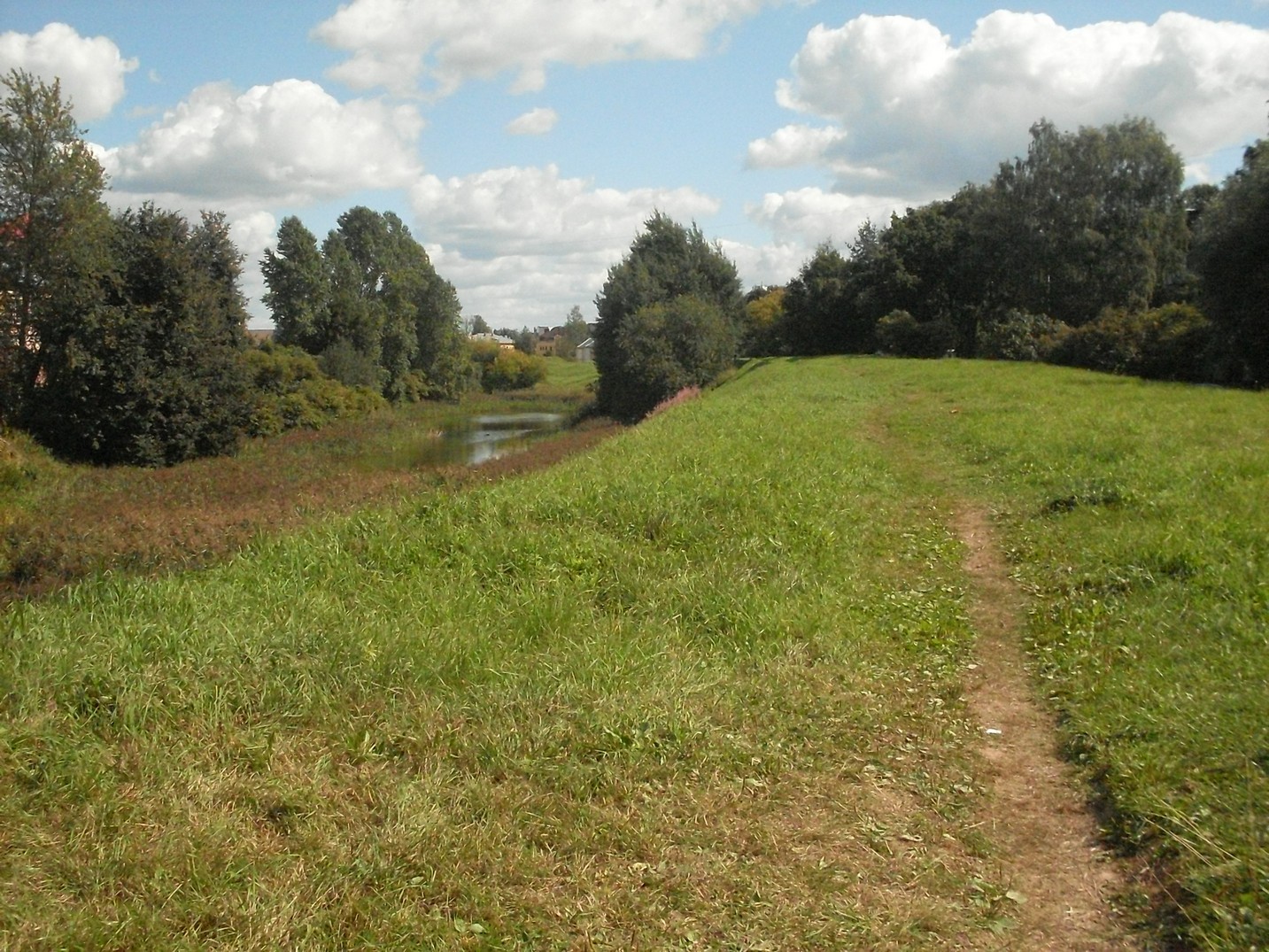 SDC16584.jpg