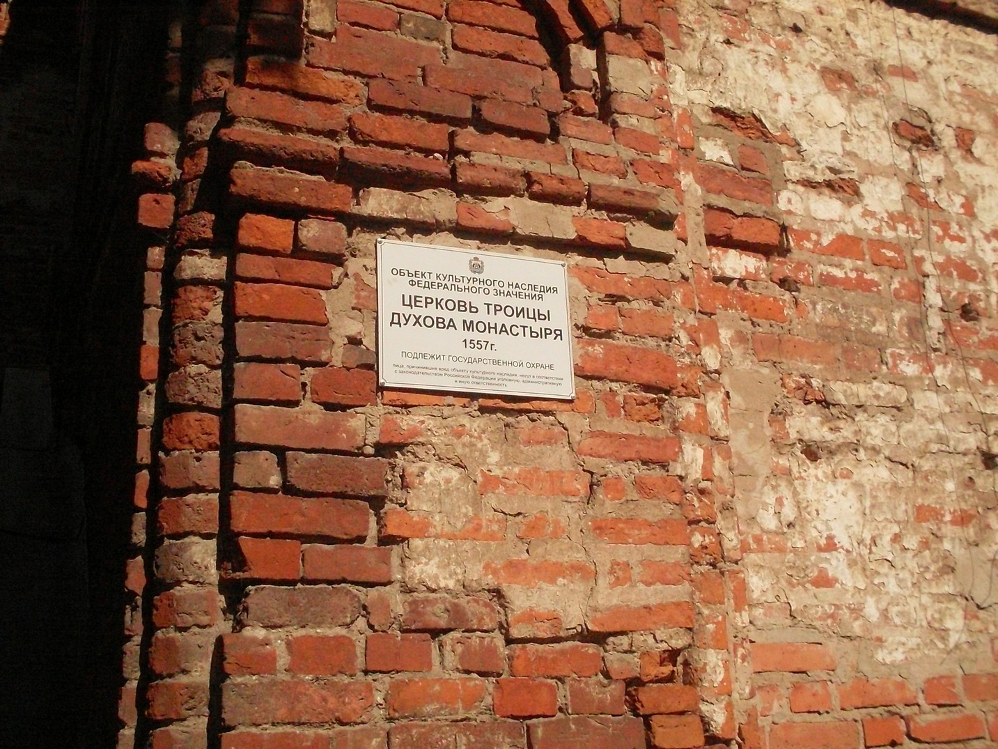 SDC16594.jpg