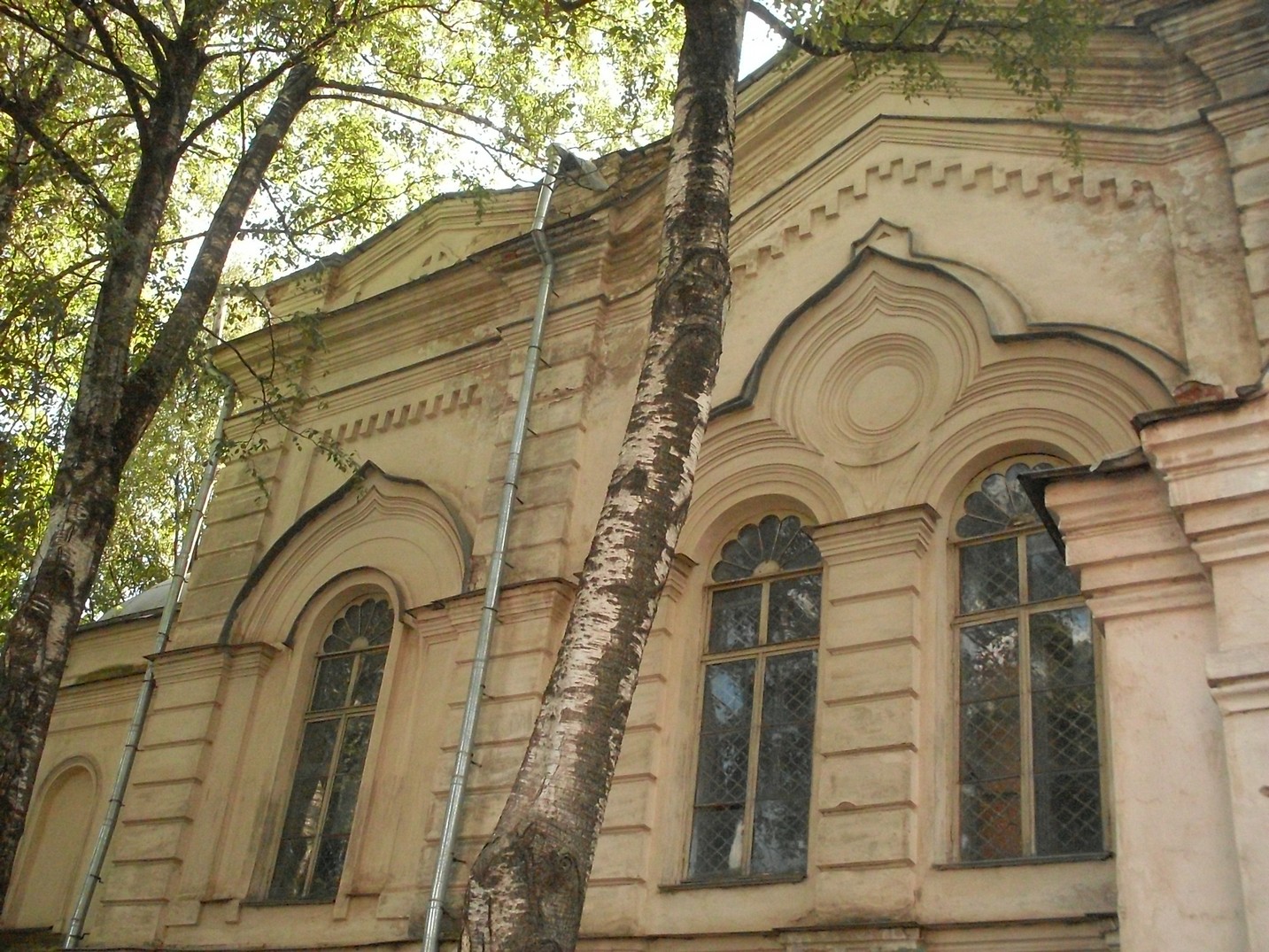 SDC16601.jpg