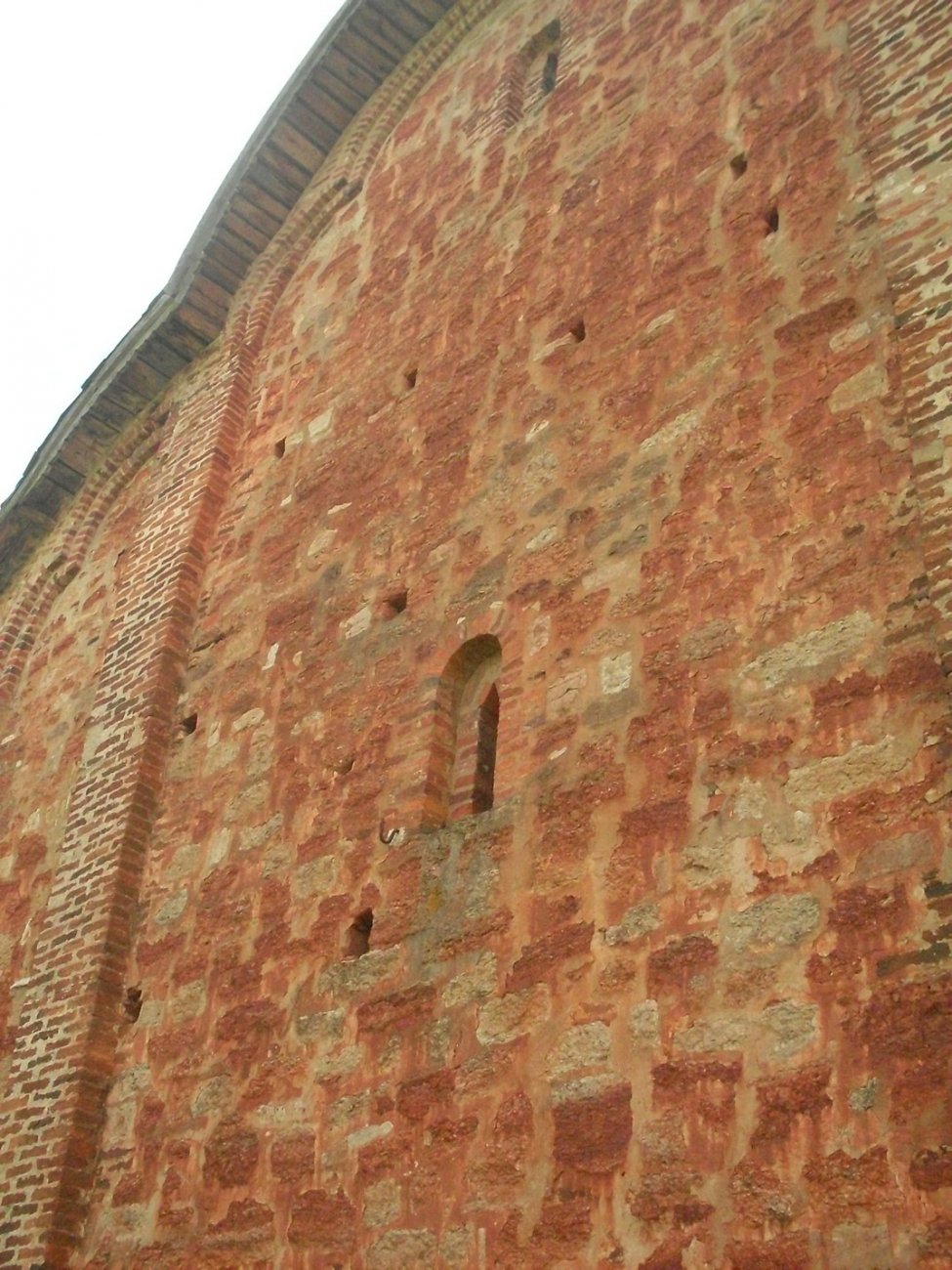 SDC16616.jpg