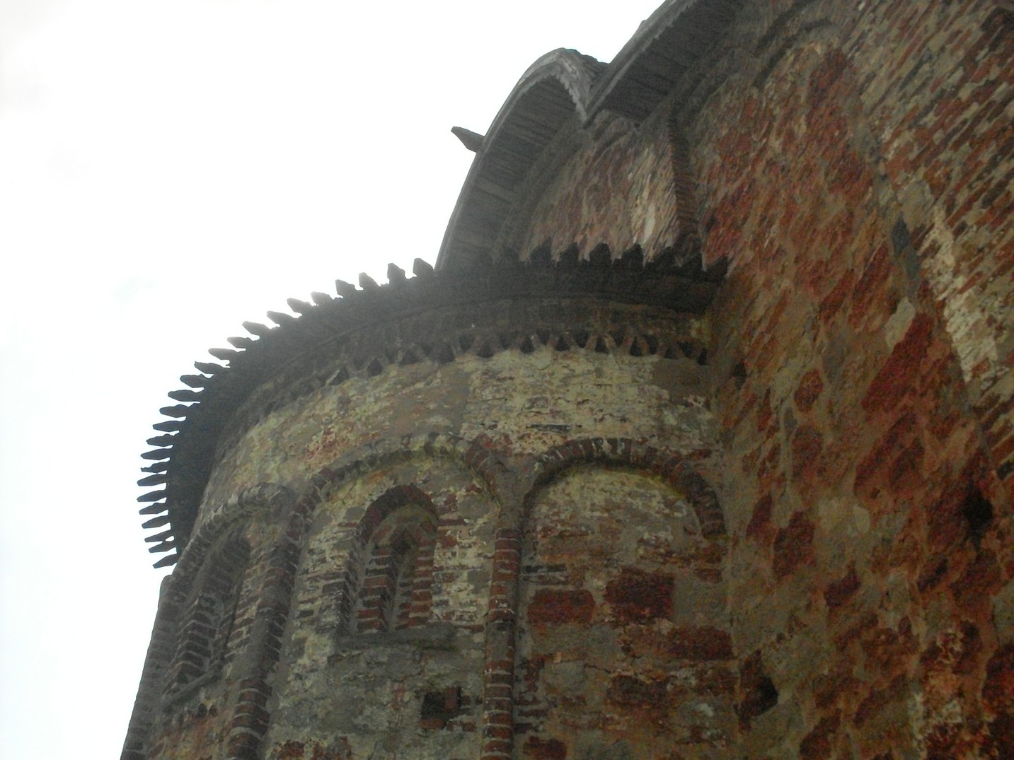 SDC16617.jpg