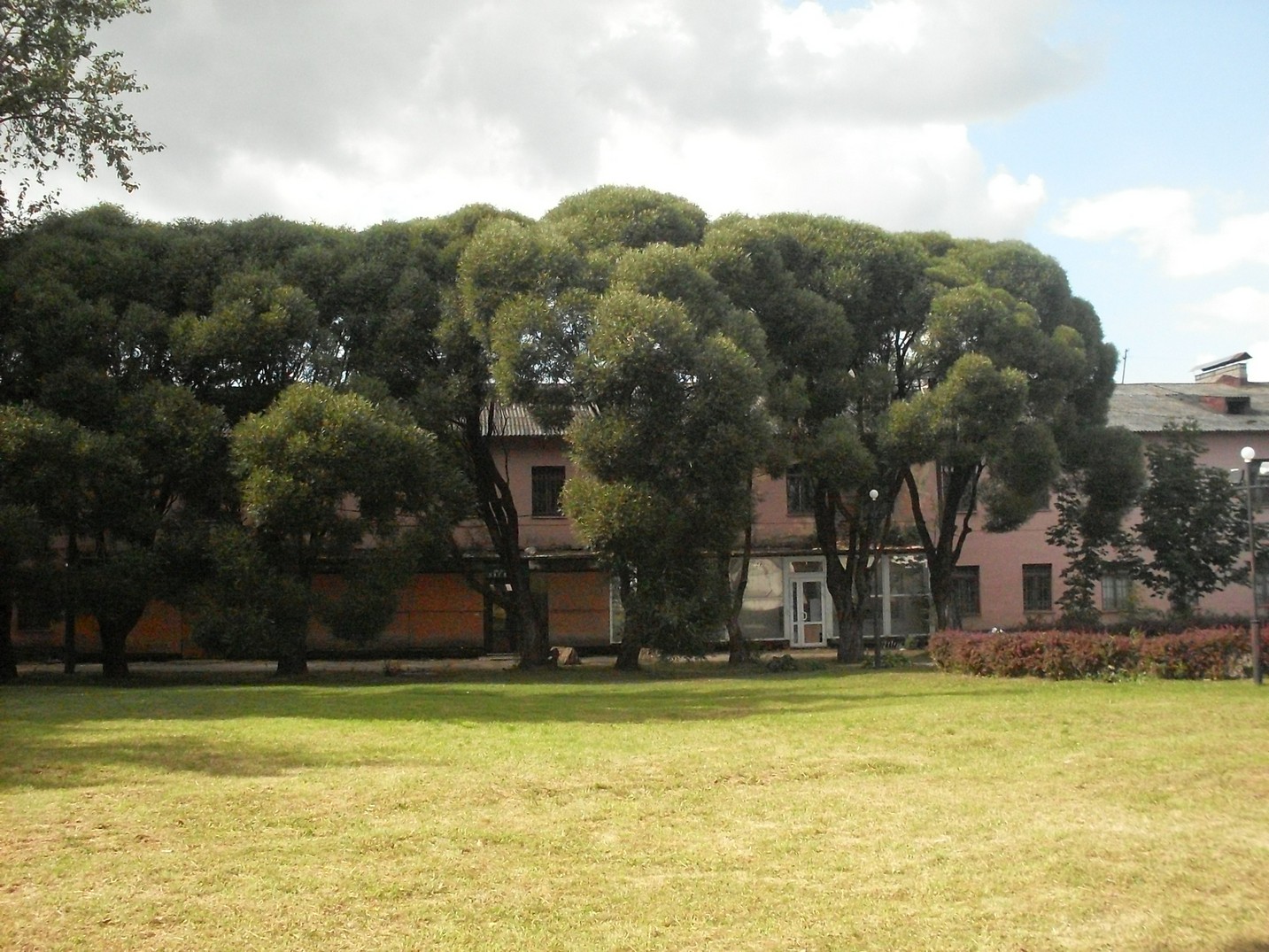 SDC16630.jpg