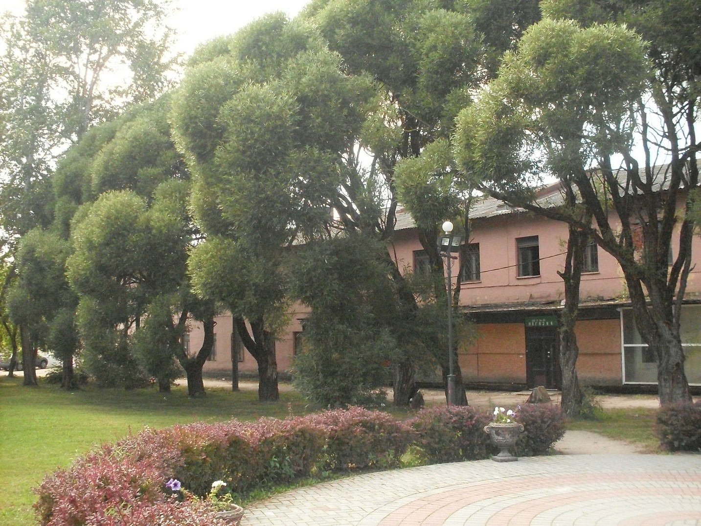 SDC16633.jpg