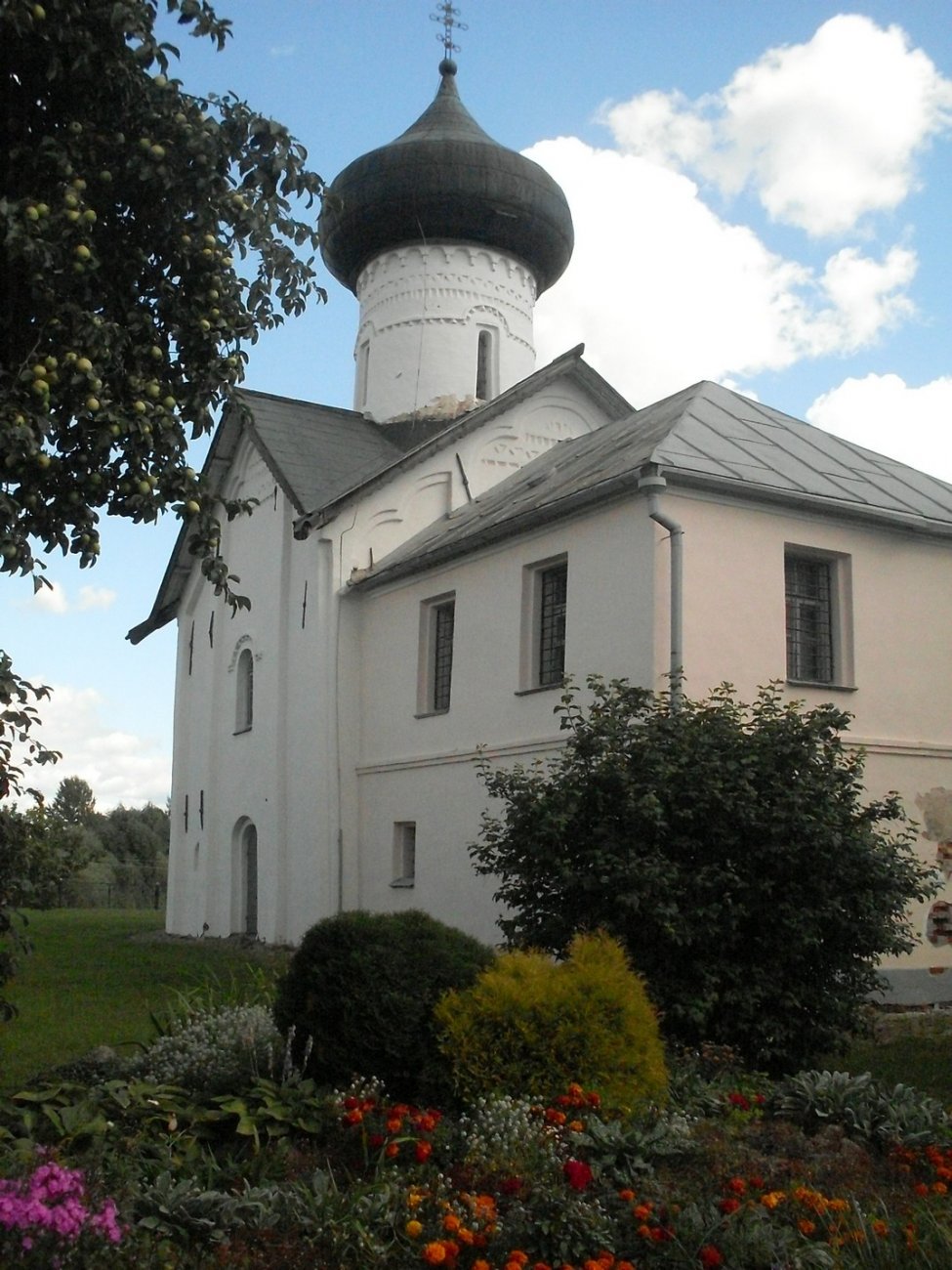 SDC16644.jpg