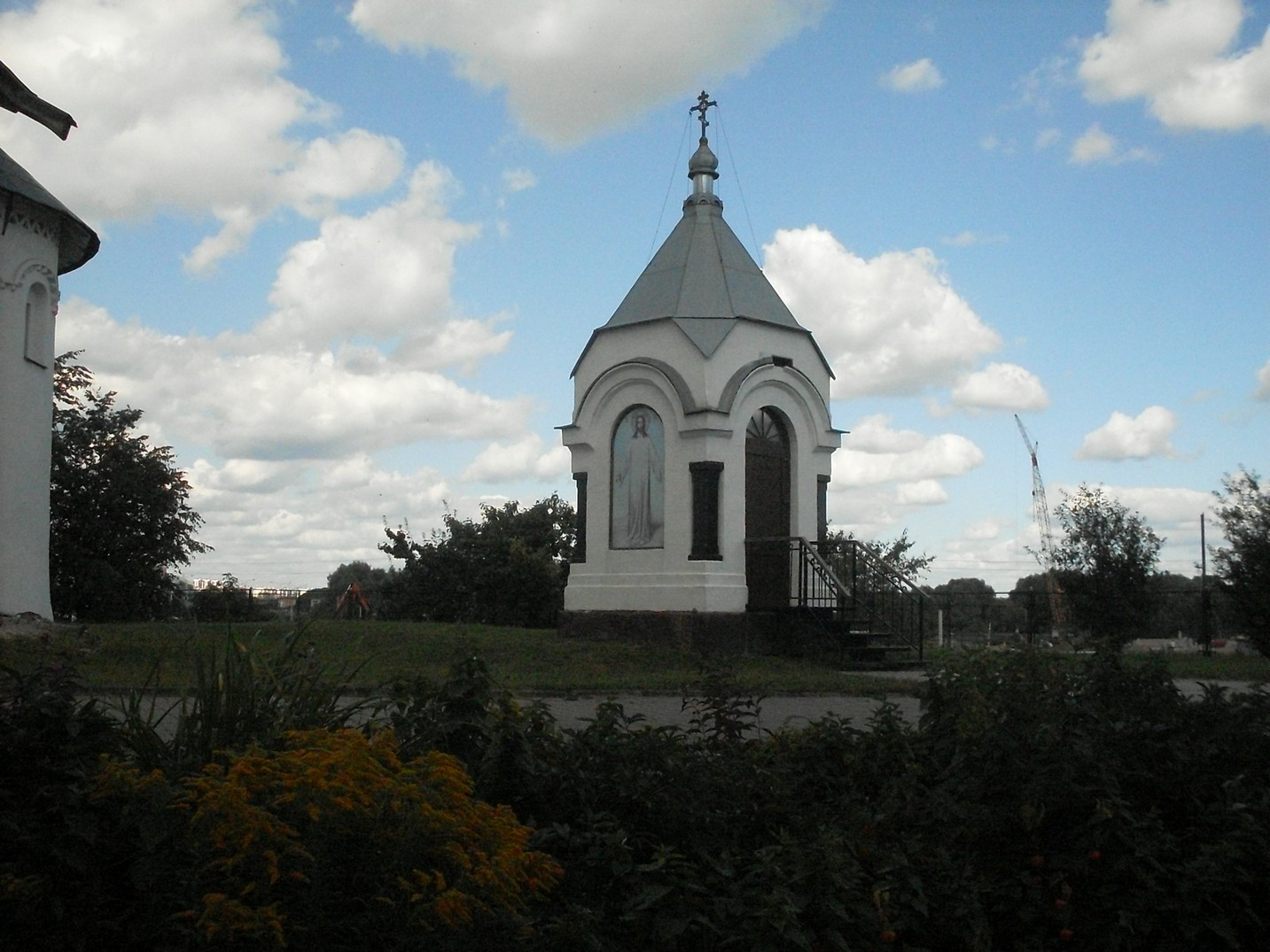 SDC16652.jpg