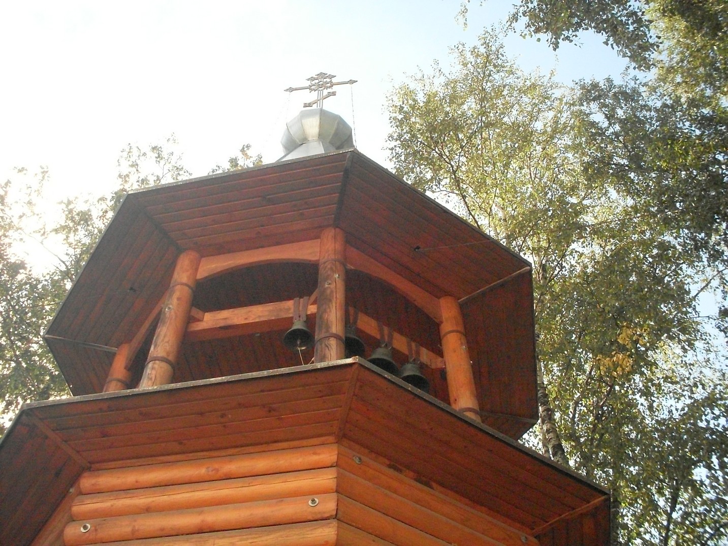 SDC16661.jpg