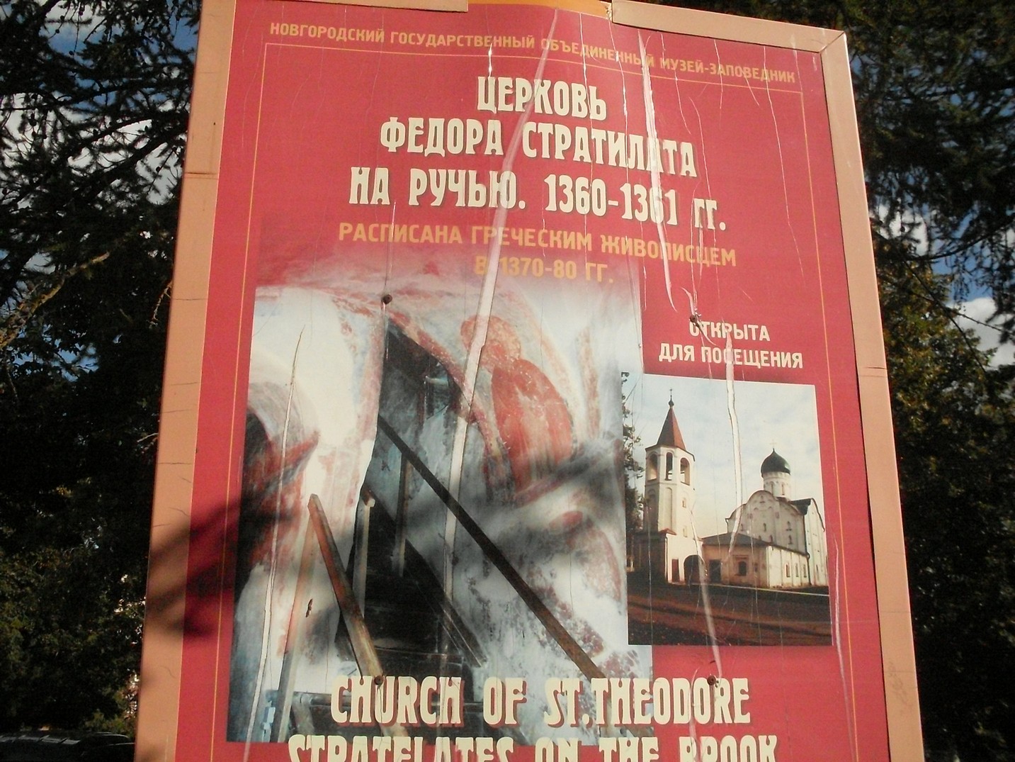 SDC16691.jpg
