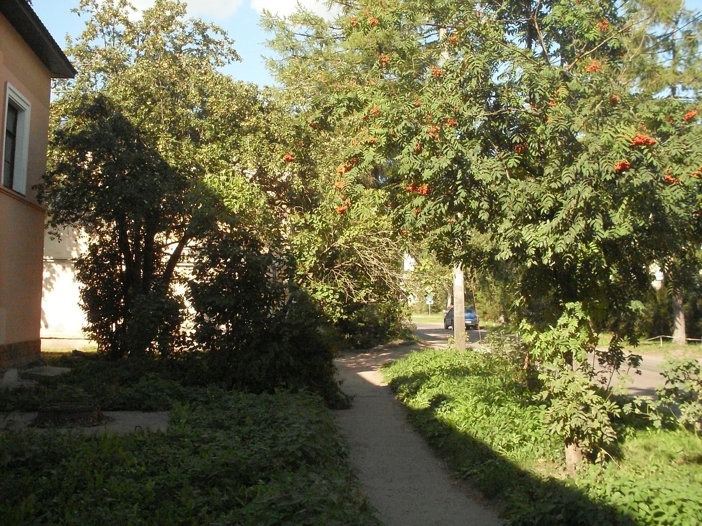 SDC16692.jpg