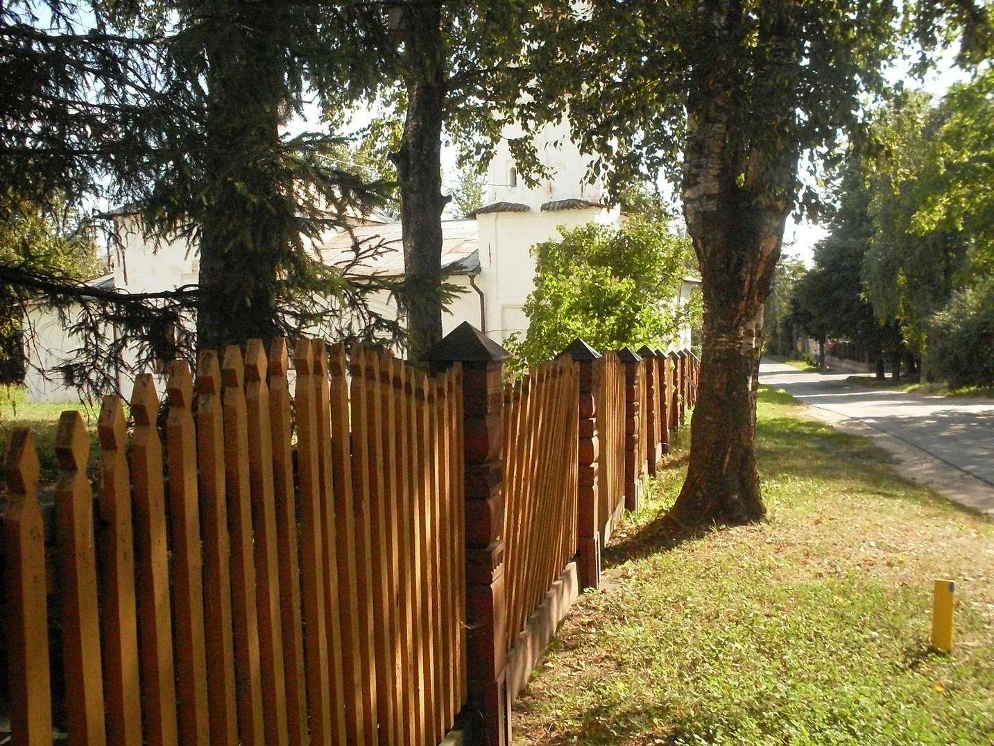 SDC16706.jpg