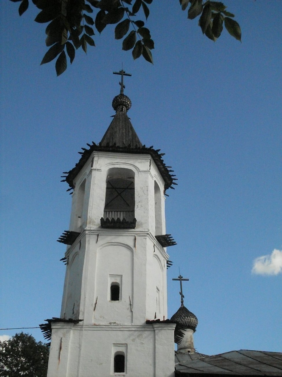 SDC16715.jpg