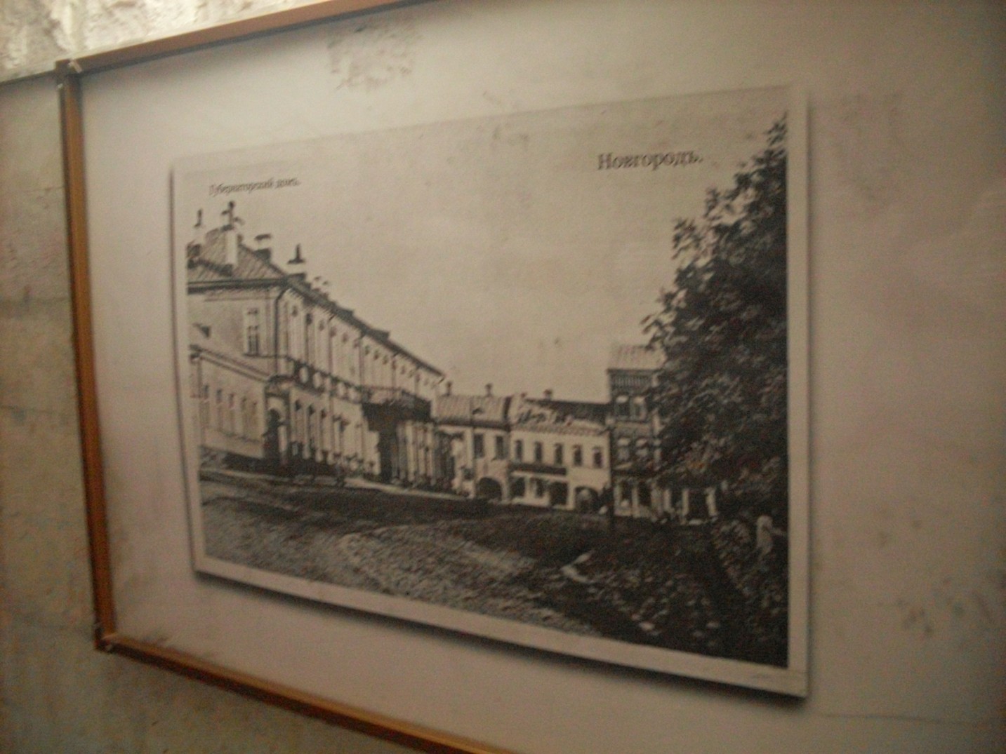 SDC16724.jpg