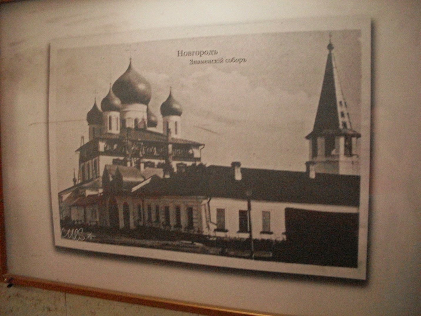 SDC16726.jpg