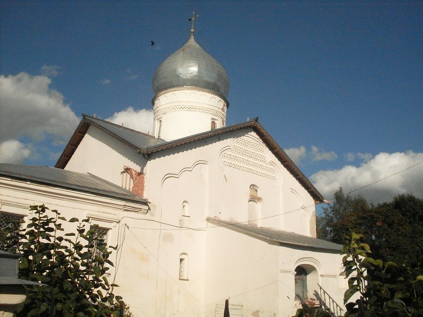 SDC16733.jpg