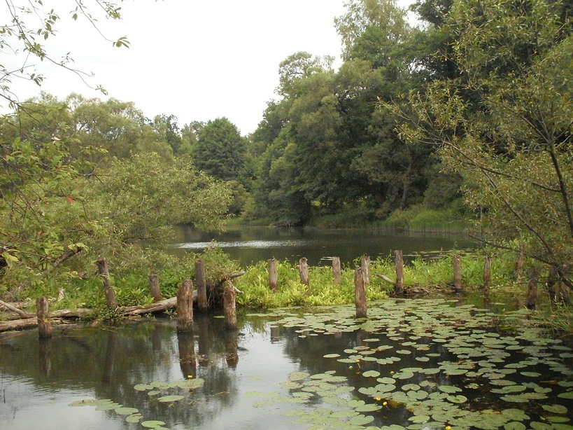 SDC17305_.jpg