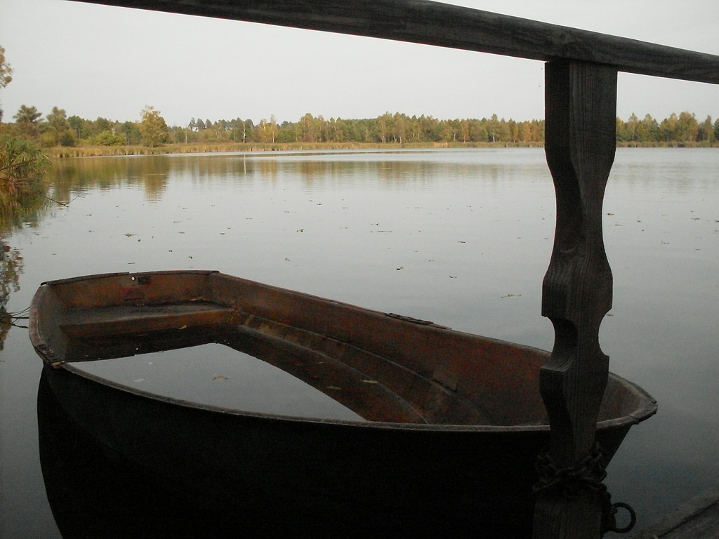 SDC17501.JPG