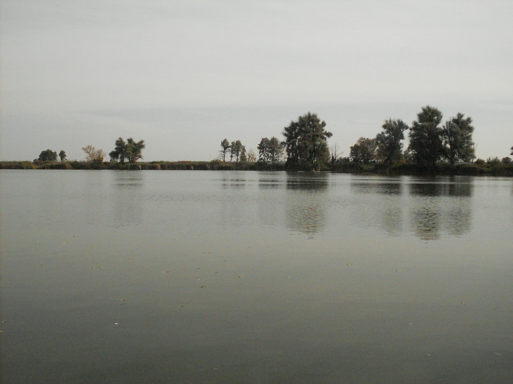 SDC17505.JPG