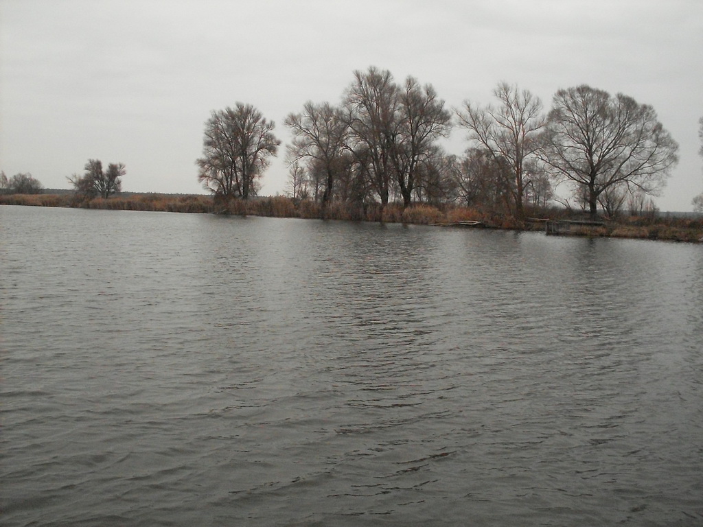 SDC17980.JPG