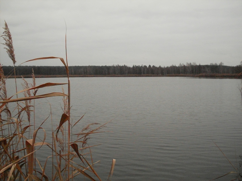 SDC17992.JPG