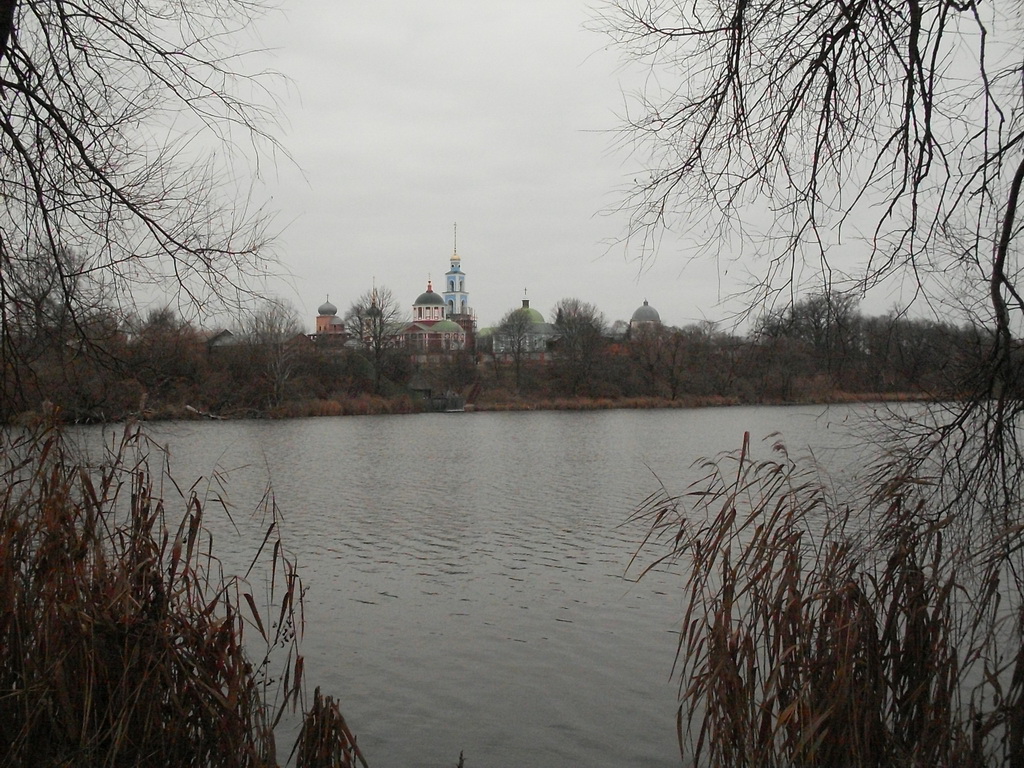 SDC17993.JPG